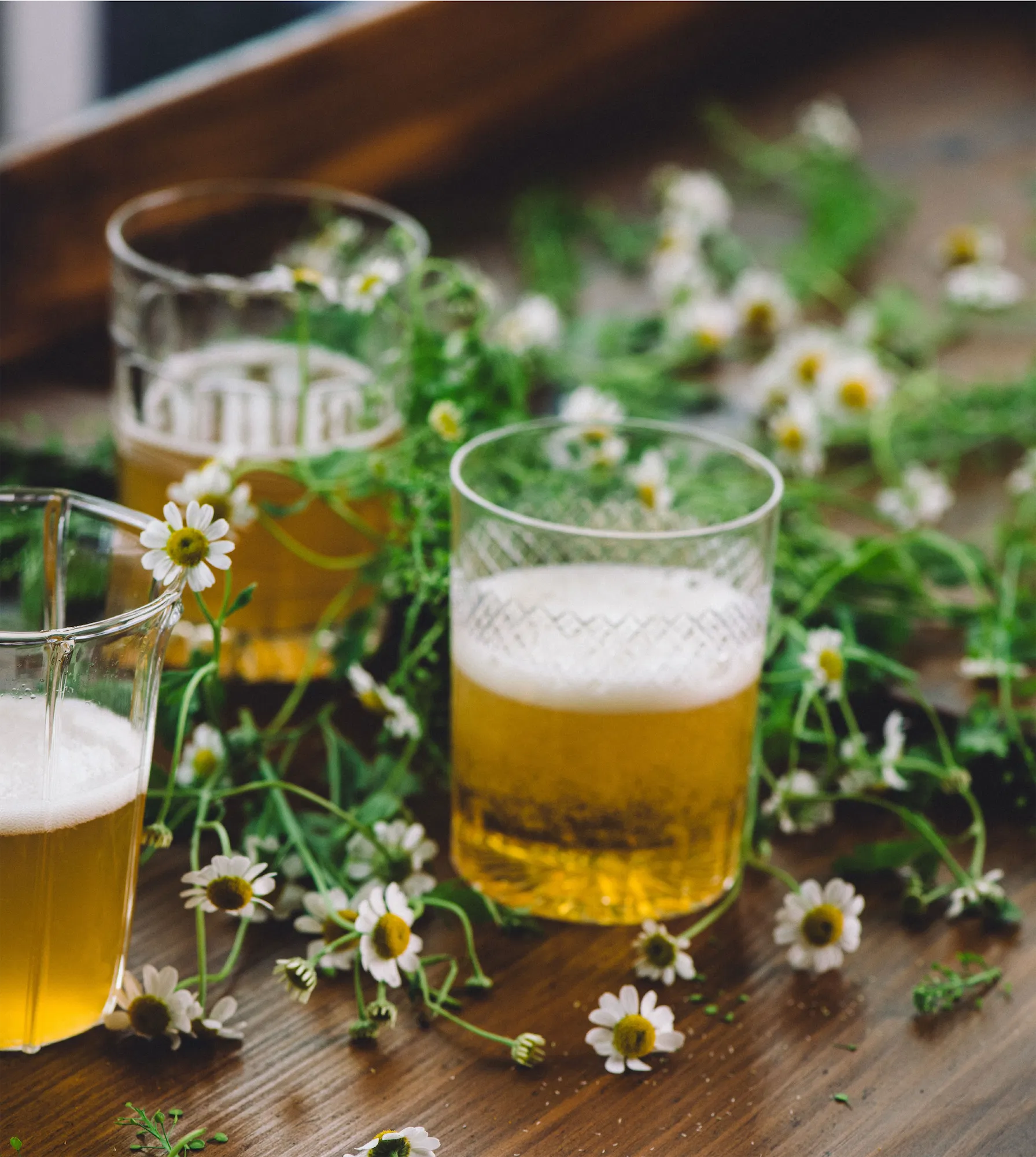 short glasses of beer with foam heads set on a bar with chamomile flowers