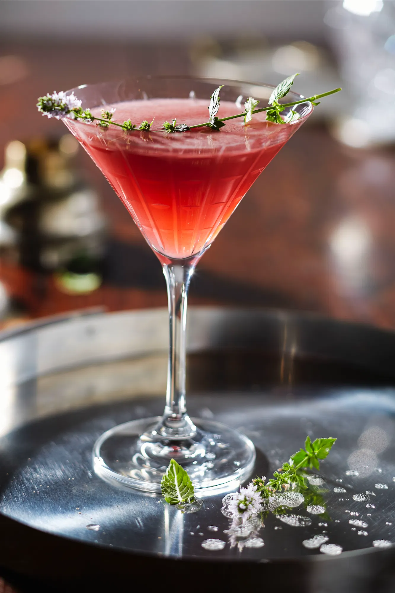 taste talks live demonstration of cocktail making cranberry martini on a stainless tray with sprig of thyme garnish
