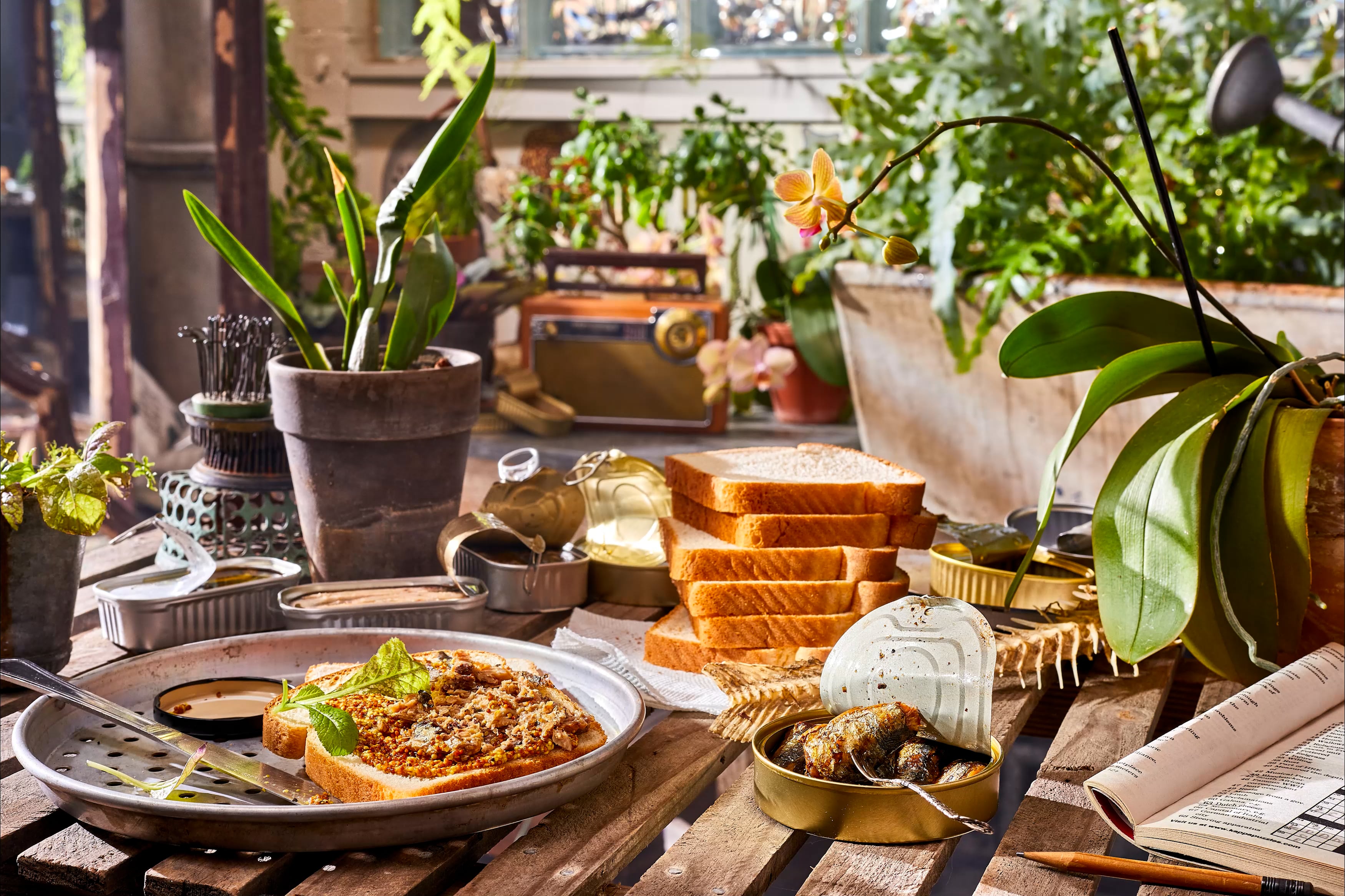 bucolic indoor scene with houseplants and orchids on a wooden table with cans of sardines and stacked slices of bread